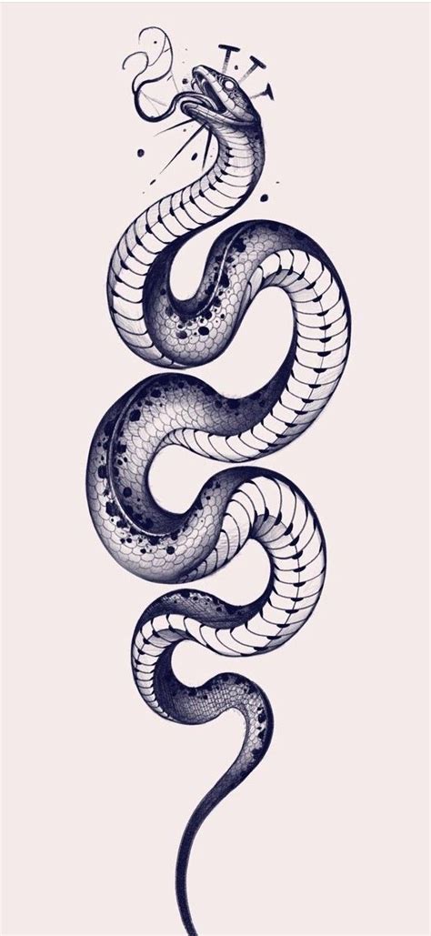 Pin By Noble On Bullet Journal In 2021 Black Snake Tattoo Snake