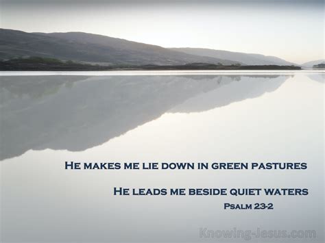 Psalm 232 He Leadeth Me Beside Still Waters Navy
