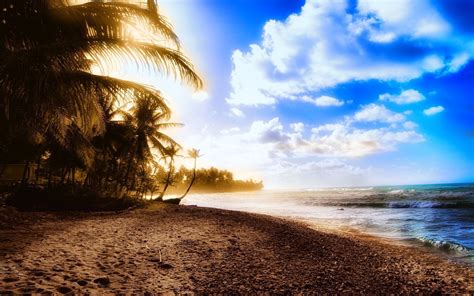 Beach Summer Palms Wallpaper 1920x1200 29255