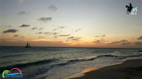 Aruba Divi Beach En Divi Resorts Youtube