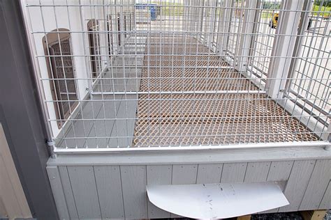 7 Of The Best Dog Kennel Flooring Ideas The Dog Kennel Collection