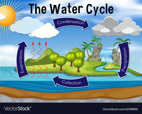 Science Of Water Cycle Royalty Free Vector Image