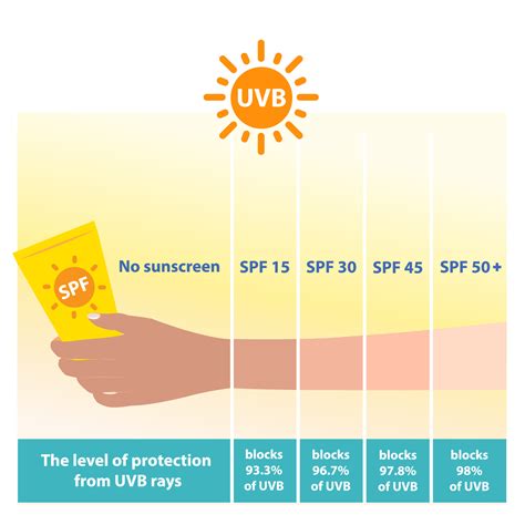 The Different Levels Of Spf Sunscreen Protect Uvb Rays Vector On White Background Comparison Of