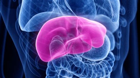 But do you know what's the cause of these two hormonal imbalances? Low Testosterone: Causes, Symptoms, and Associated ...