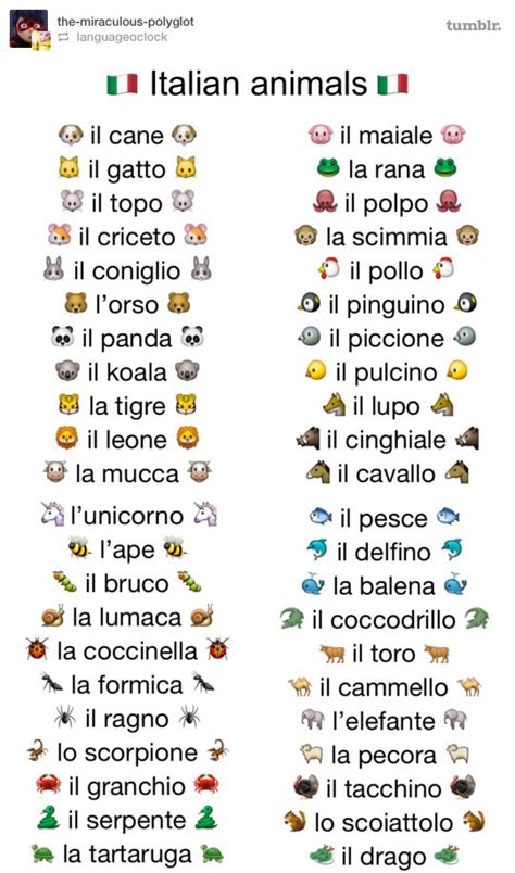 Pin By Alanna Pearson On Language Italian Learning Italian Italian