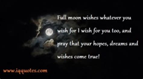 These 30 quotes are just what you need when there's a full moon, new moon even when you least expect it, the moon never fails to dazzle. Full Moon Quotes Funny. QuotesGram