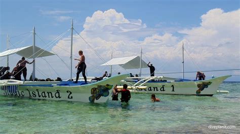 Magic Island Dive Resort Moalboal And Pescadore Island Cebu Philippines