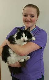 Derby City Animal Clinic Images