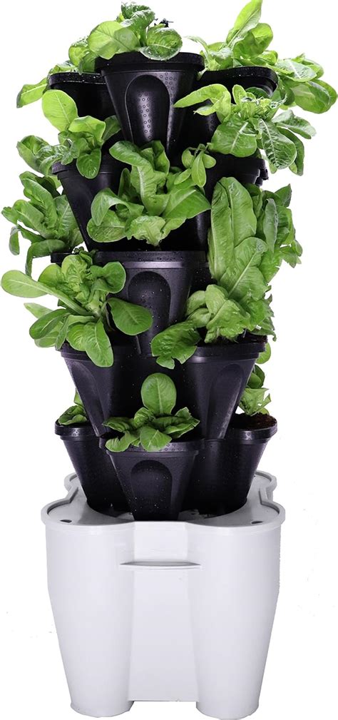 Buy Smart Farm Automatic Self Watering Garden Grow Fresh Healthy