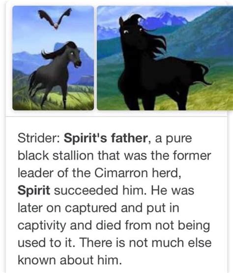 Spirit Stallion Of The Cimarron Strider