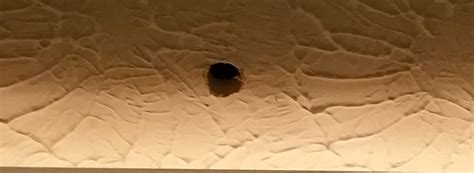 Maybe you would like to learn more about one of these? patching drywall - How do I properly patch a 3/4" hole in ...