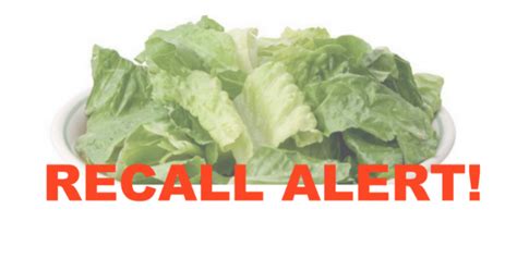Lettuce Recall Update Toss All Forms Of Romaine Lettuce Including