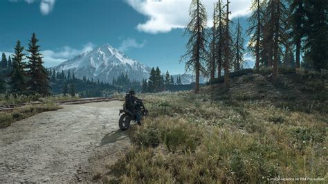 Official subreddit for days gone, developed by bend studio. Days Gone's Title "Can Mean Many Different Things"