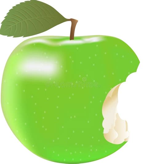 Green Apple Stock Illustrations 91759 Green Apple Stock