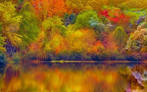 Download Fall Backgrounds Wallpaper Gallery