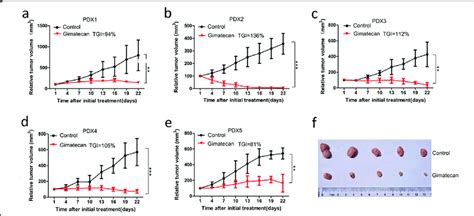 Gimatecan Inhibits Tumor Growth In Patient Derived Xenograft Pdx