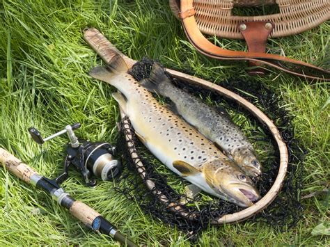 A fishing line made from this material is the heaviest because its central core is made from lead. Expert Guide For The Best Fishing Line For Trout - BearCaster