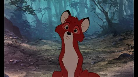 the fox and the hound screenshots the fox and the hound photo 38784874 fanpop page 31