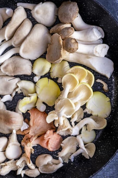 Oyster Mushrooms Guide Give Recipe