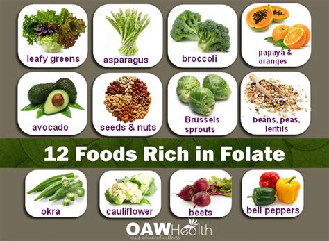 Foods Rich In Folate