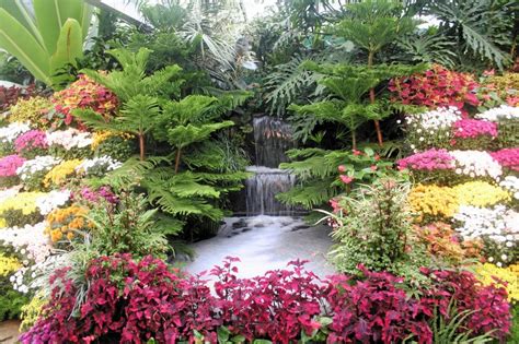 Beautiful Flower Gardens Waterfalls Modern House Designs