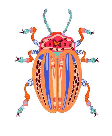 Beetles — Caroline Kaufman Studio Insect Art Insect Art Projects