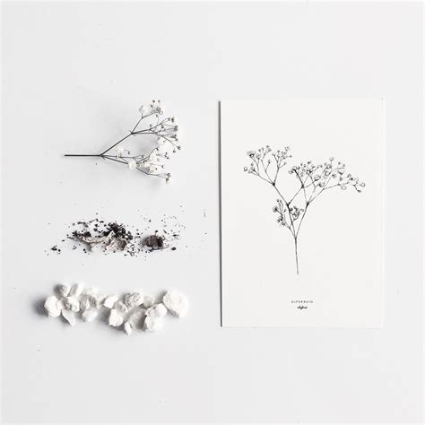 Carnations roses babies breath gerbera daisies. Gypsophila | Wildflower tattoo, Baby breath tattoo ...