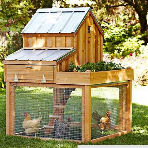 24 Amazing Low Budget Diy Backyard Chicken Coop Plans Design Ideas