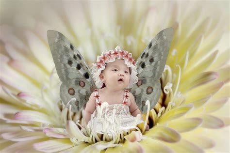 Download Fairy Baby Fantasy Royalty Free Stock Illustration Image