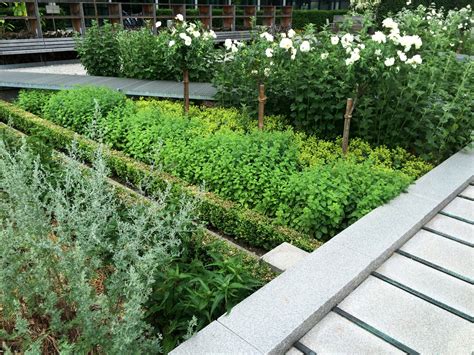 A Medicinal Herb Garden Takes Root On The Grounds Of A