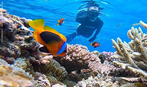 What Is Snorkeling And How To Snorkel A Complete Beginners Guide
