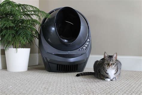The 8 Best Automatic Litter Boxes Of 2021