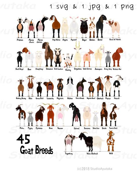 45 Breeds Of Goats Chart Svg  Png 1620 Etsy Australia