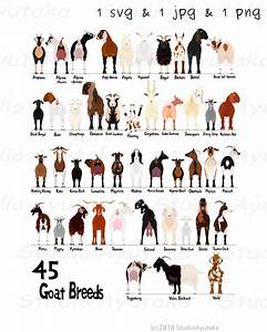 45 Breeds Of Goats Chart Svg Jpg Png 1620 Etsy Australia