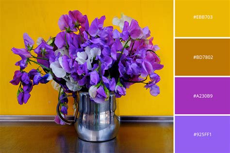 Complementary Colors In Photography 21 Tips