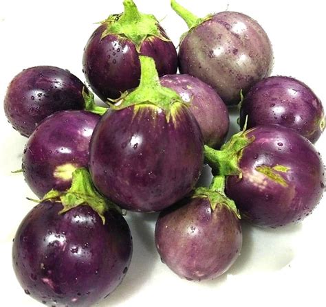 Round Purple Eggplant Seeds Heirloom Tims Tomatoes