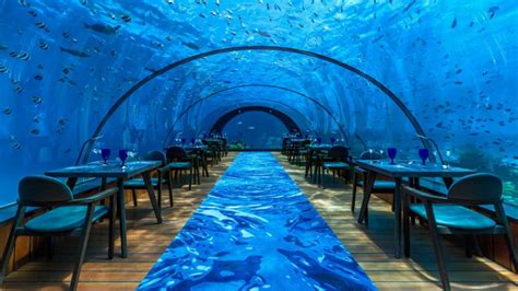 세계 최대 규모 수중 레스토랑 몰디브 후라왈리 리조트 58 수중 레스토랑 58 Undersea Restaurant