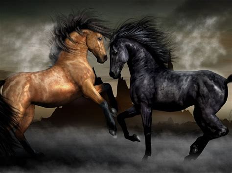Fondos De Pantalla Sobre Caballos Horses Horse Wallpaper Horse Pictures