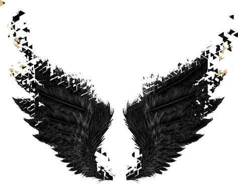 Black Angel Wing Transparent Png
