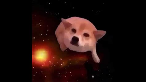 Doggo Does The Outer Space Explore Youtube