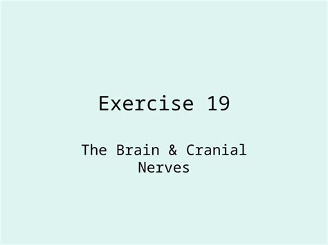 Ppt Exercise Brain And Cranial Nerves Dokumen Tips Hot Sex Picture