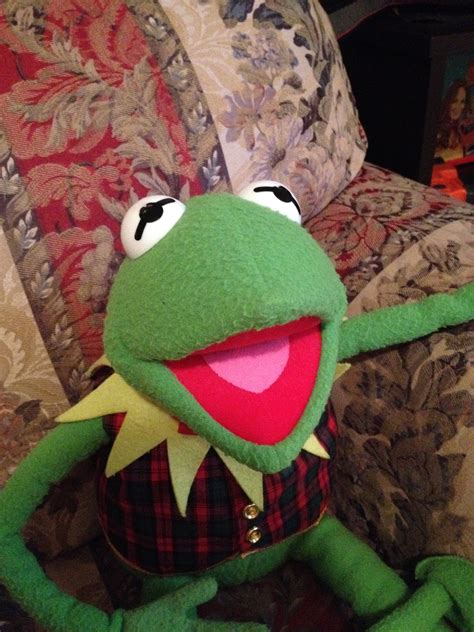 Kermit The Frog Stuffed Animal Toys R Us Wow Blog