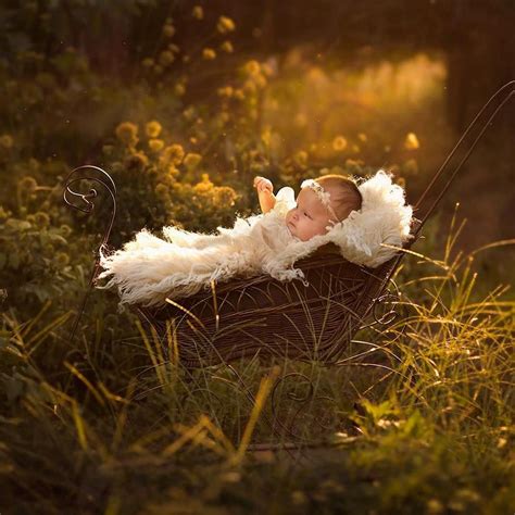 Jessicadrossin Super Süße Fotografie Eines Babys In Einer Blumenwiese