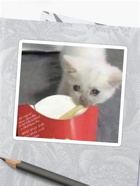Sad Cat Meme Eating Its Meme Cats