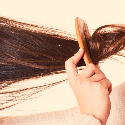 10 Top Shampooings Pour Cheveux Emmêlés Arquidia Mantina