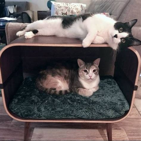 High End Cat Furniture Is A Real Thing And Just As Ridiculous As Youd