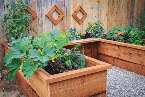 I plant my raised bed boxes after the concept used by the intensive gardeners of europe. How to Build a Raised Garden Bed - DIY - MOTHER EARTH NEWS