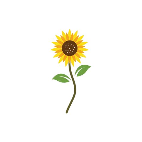 Sunflower Logo Icon Vector Single Petal Plant Vector Single Petal