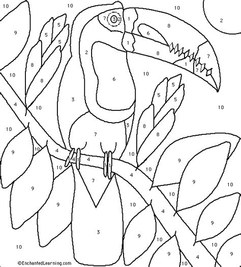 Soulmetalpodcast Parakeet Color By Number Coloring Pages