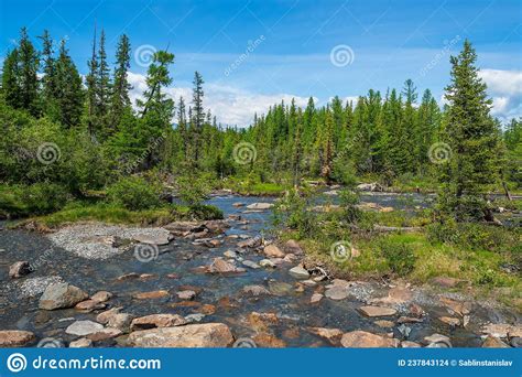 The Mountain River Overflowed In The Spring Beautiful Alpine Landscape